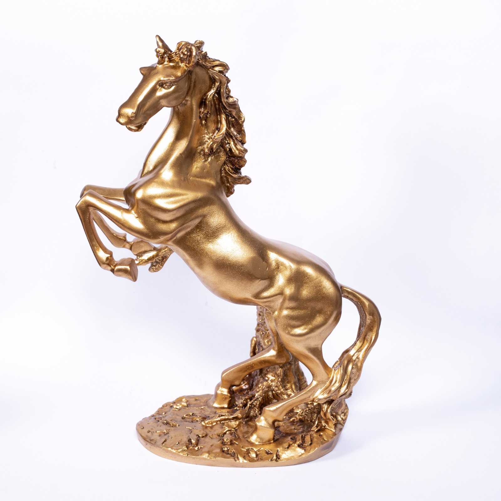 Şahlanan Gold Bereket Atı
